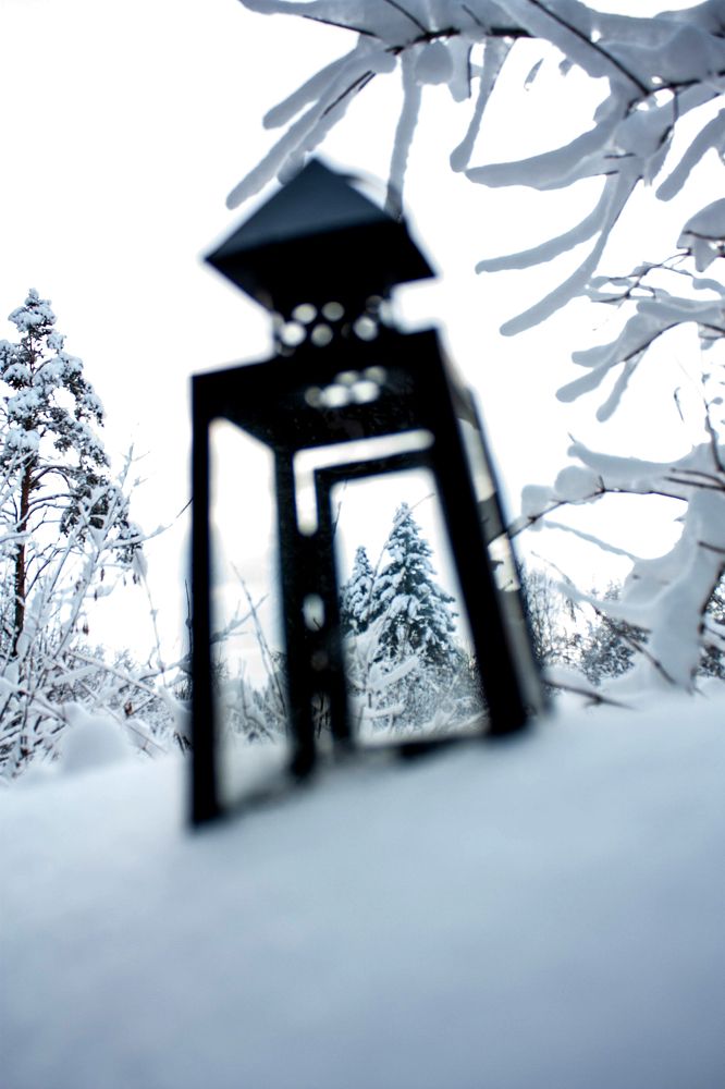 Photograph by Екатерина Боярина