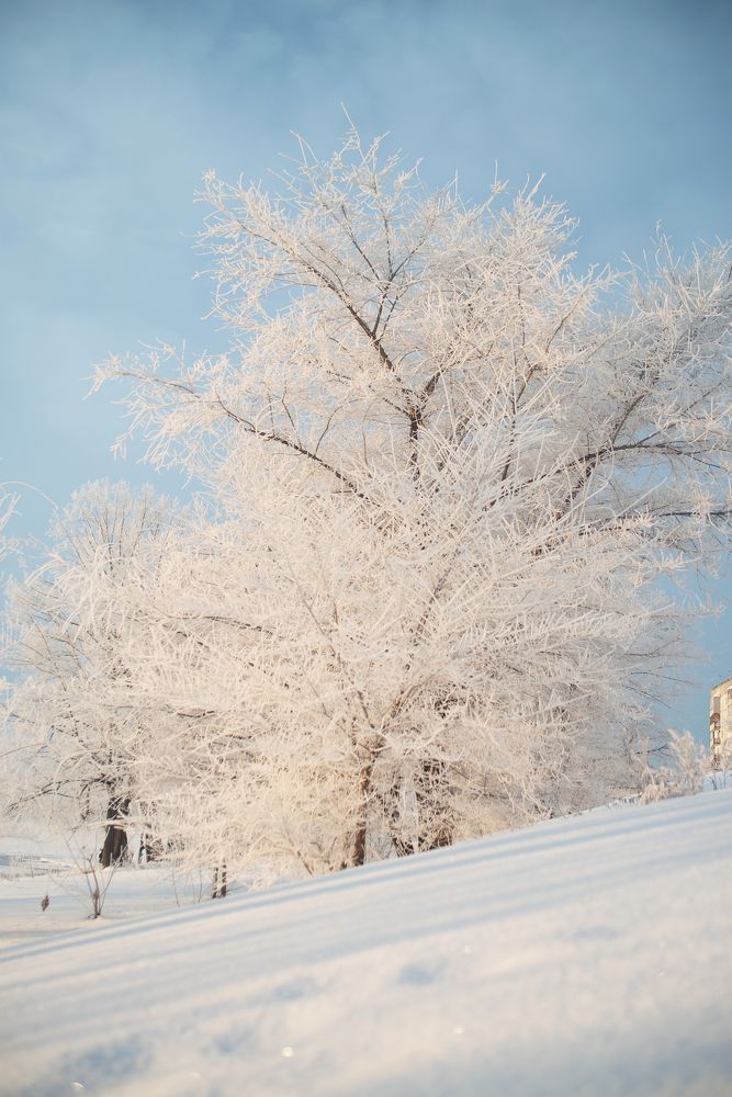 Photograph by Ольга Шибяева
