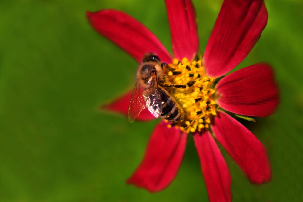 Photograph by Алина Куприянова