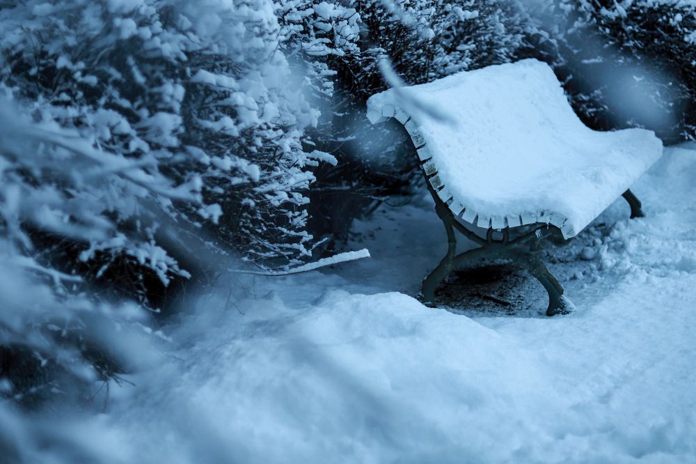 Фотография автора OKSANA