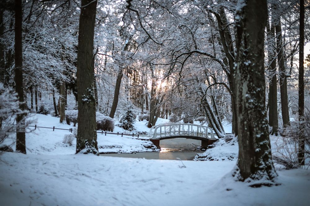 Фотография автора OKSANA