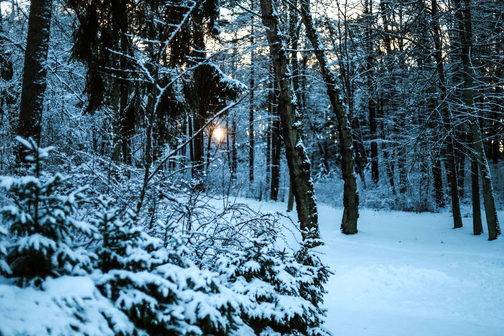 Фотография автора OKSANA