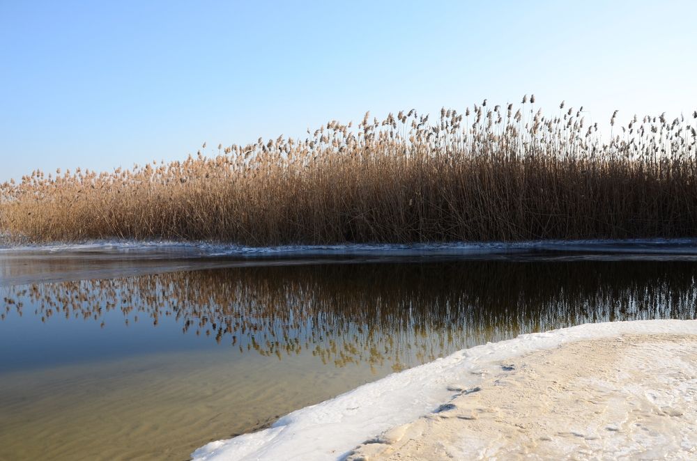 Фотография автора Ирина Якущенко