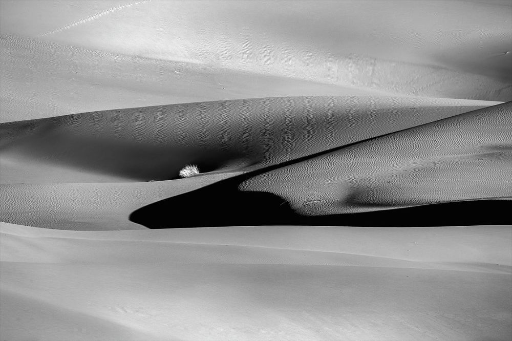 Photograph by Abbas Kalantar