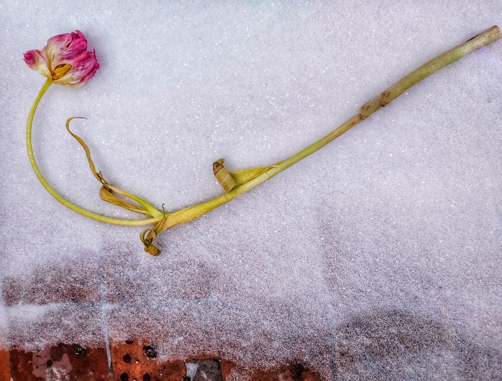 Photograph by Татьяна