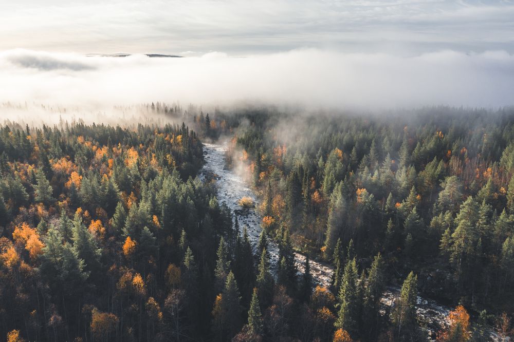 Photograph by Андрей Сачков