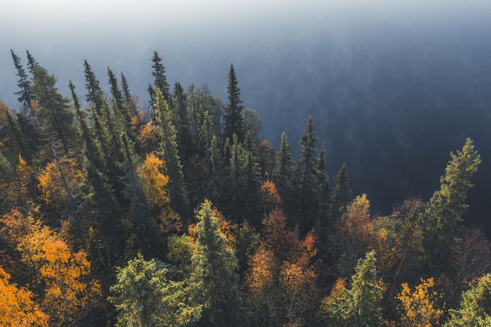 Photograph by Андрей Сачков