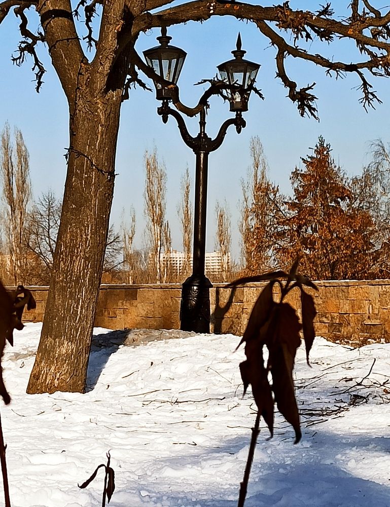 Photograph by Людмила Протасова