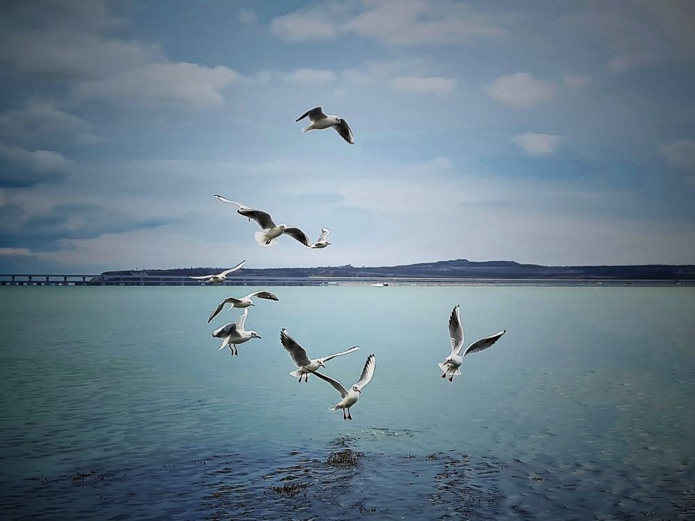 Photograph by Лариса Когтева