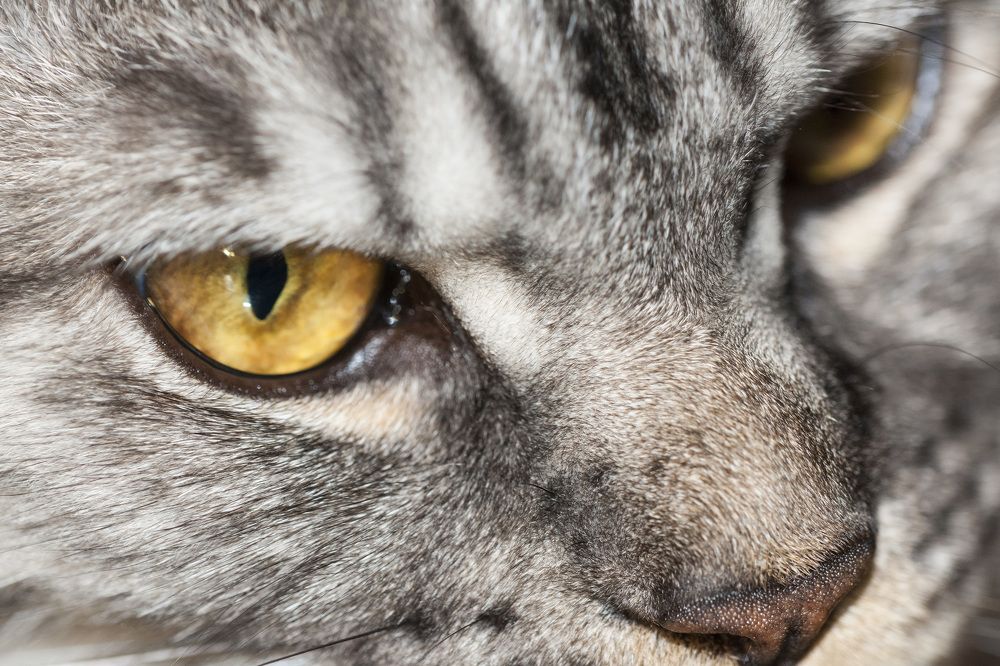 Photograph by Сергей Крылов