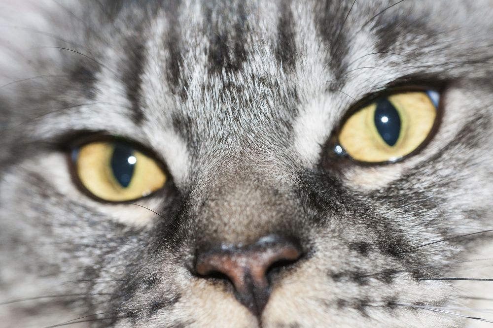 Photograph by Сергей Крылов