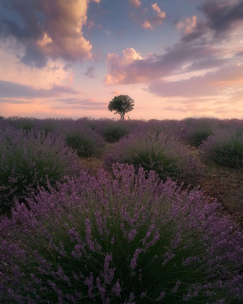 Photograph by Dorota Polat