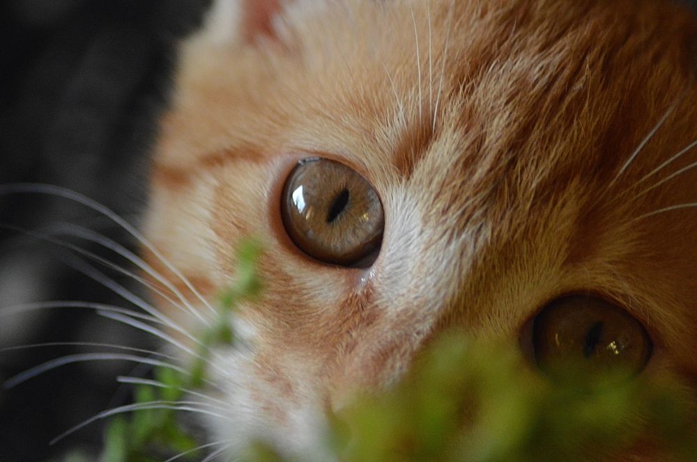 Фотография автора Криухов Антон