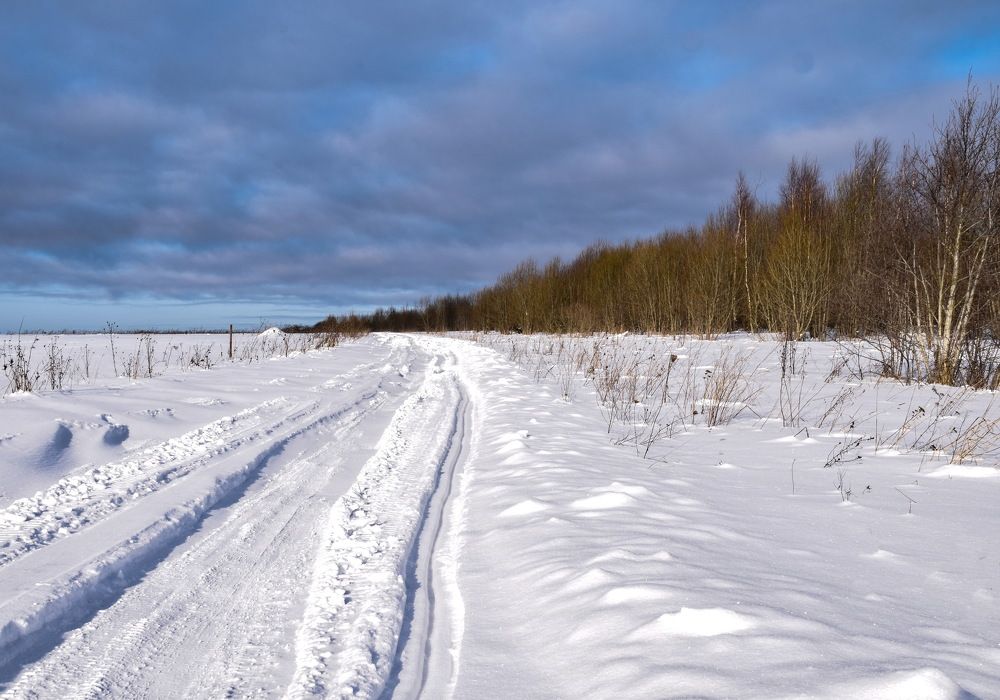 Photograph by Чеботарёва Валентина Петровна
