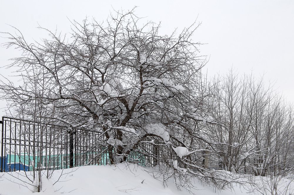 Photograph by Сергей Крылов