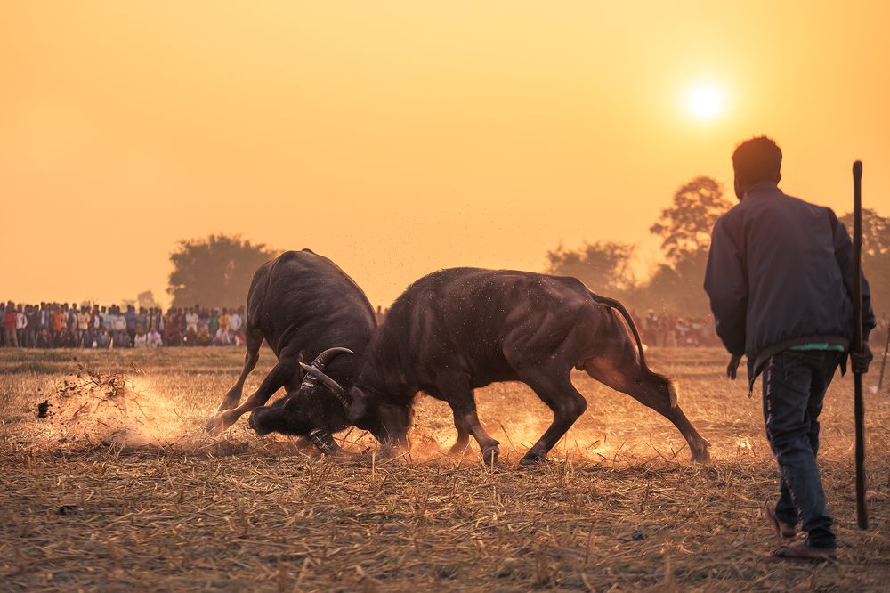 Photograph by Himadri Bhuyan