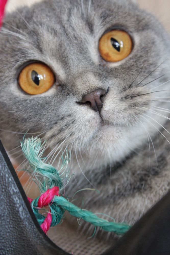 Photograph by Елена Тимошевская