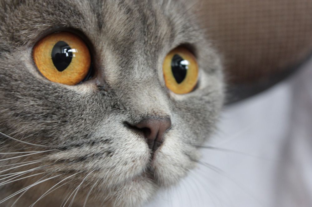 Photograph by Елена Тимошевская