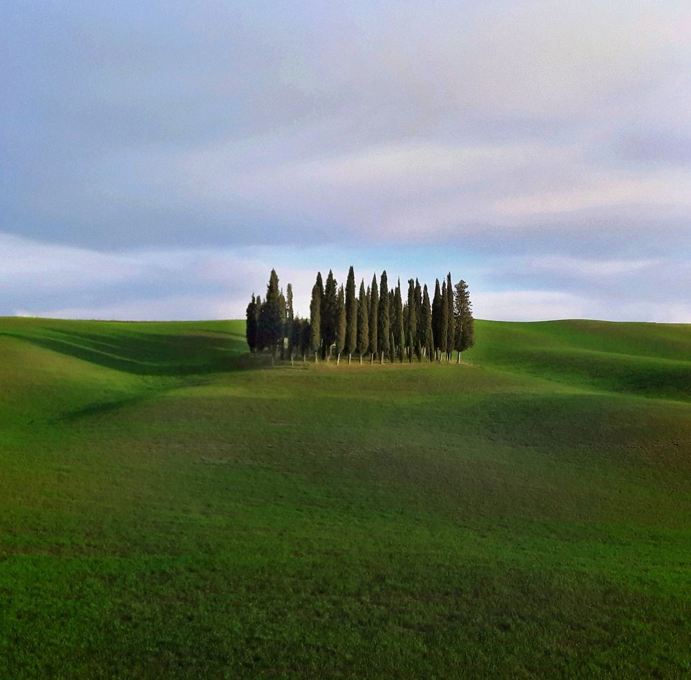 Photograph by Dorota Polat