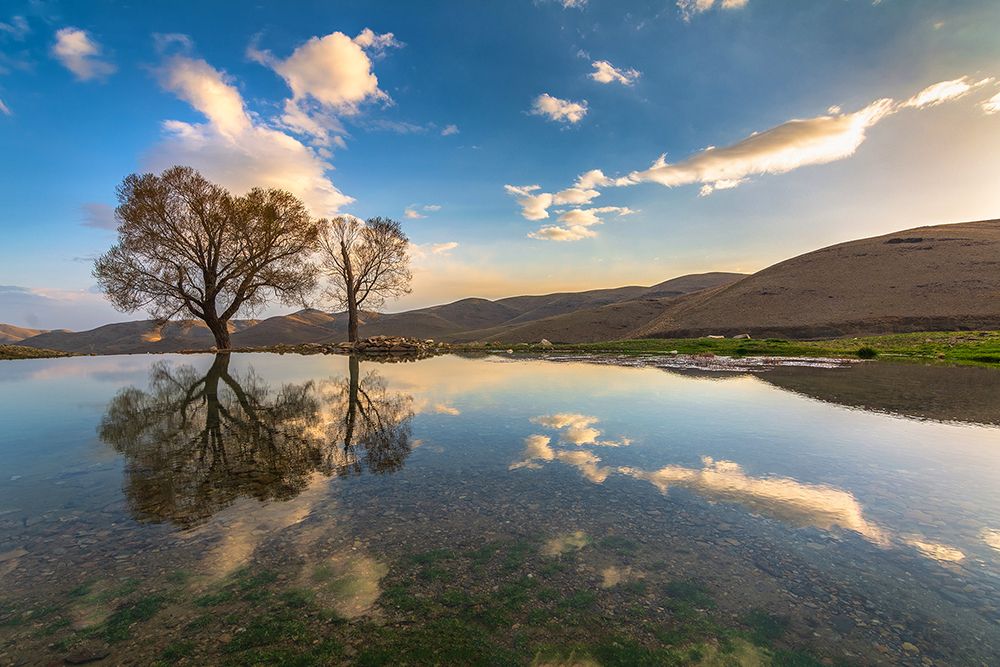 Photograph by sajjad saadat