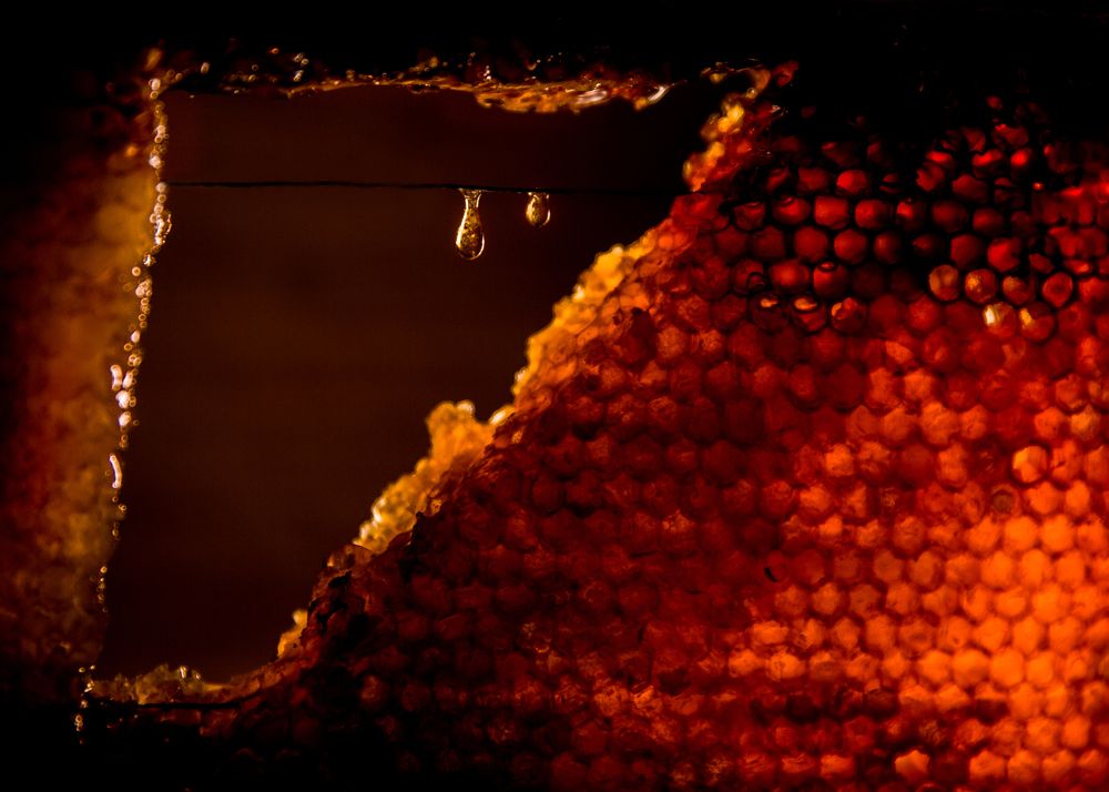 Photograph by Ира Солощ