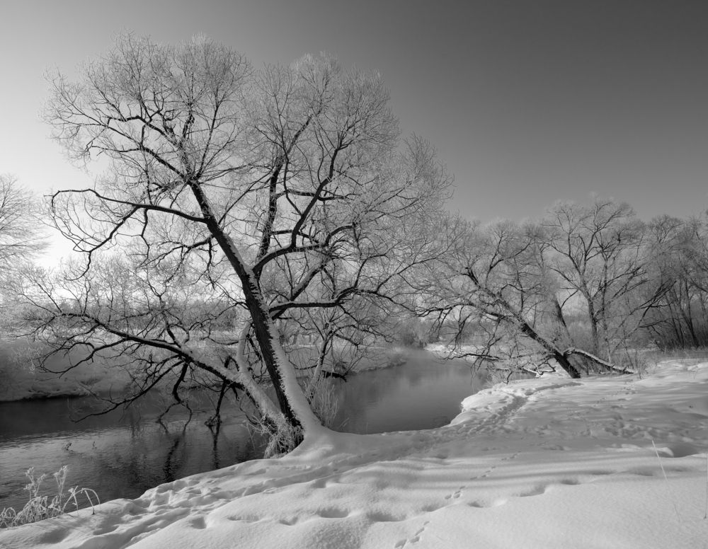 Photograph by Борис Леваков