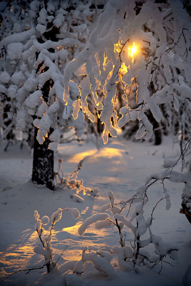 Photograph by Геннадий Субач