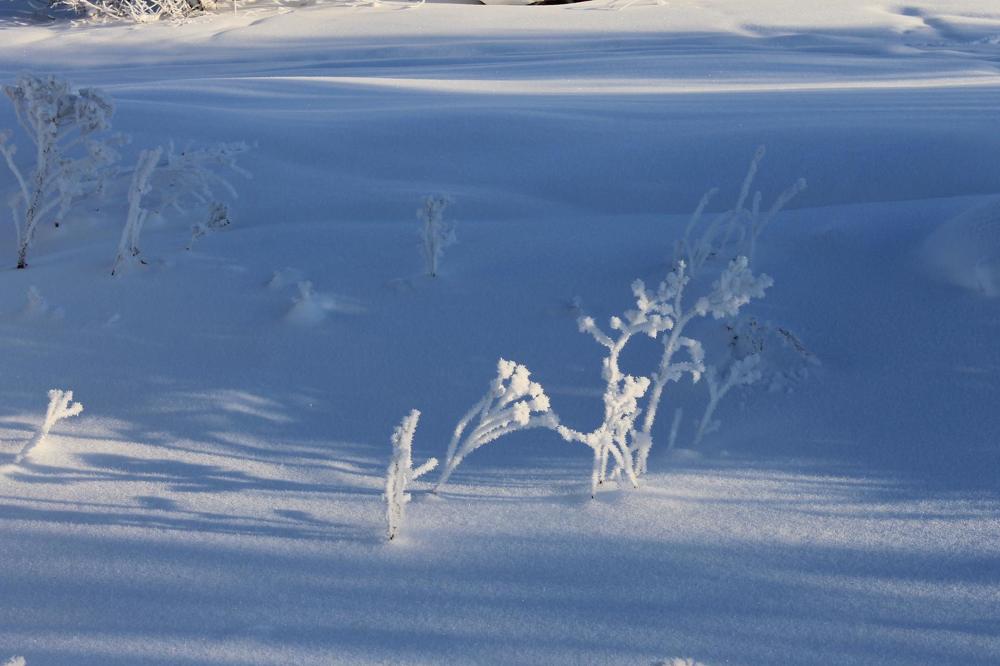 Photograph by Галина Радчук
