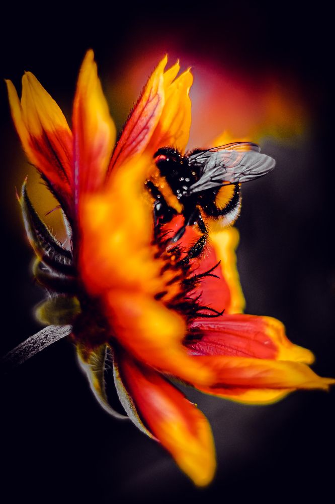 Photograph by Александр Казак