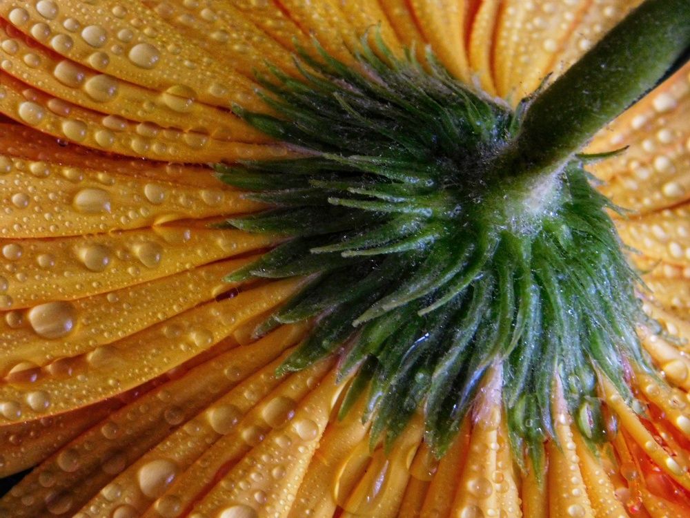 Photograph by Ana Bakic