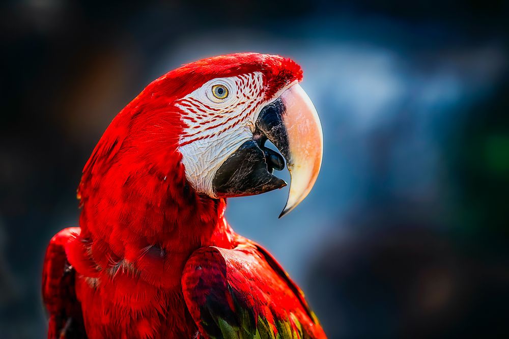 Photograph by Firas Abussaud