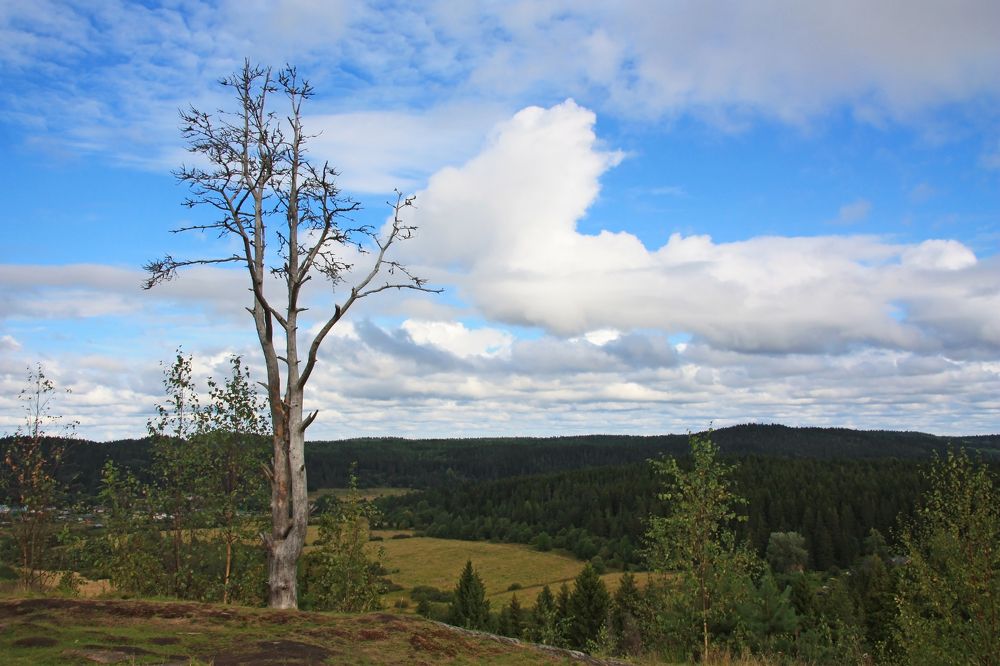 Photograph by Людмила Травина