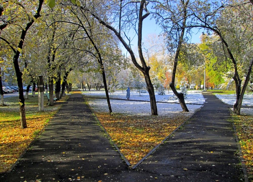 Запорошило в сквере снегом и листвой
