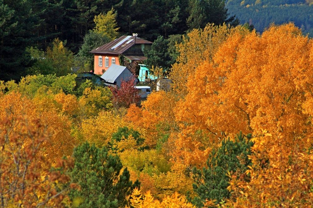 Красивая осенняя пора