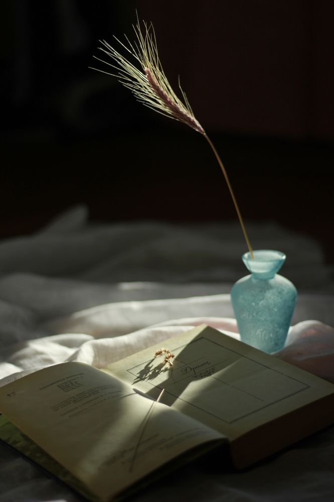 Photograph by Екатерина