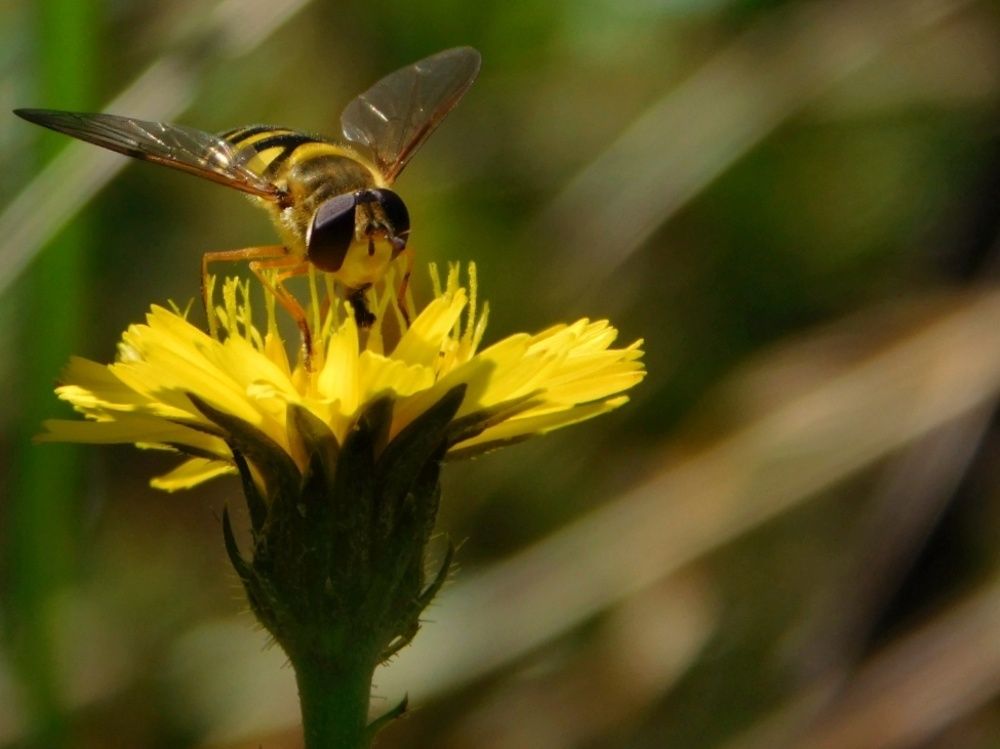Photograph by Ana Bakic