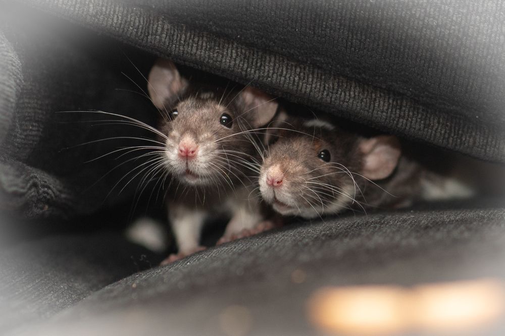 Photograph by Людмила Казак