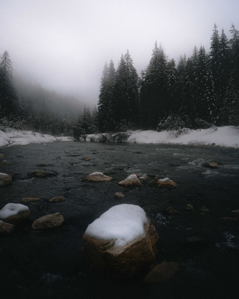 Photo #5762030