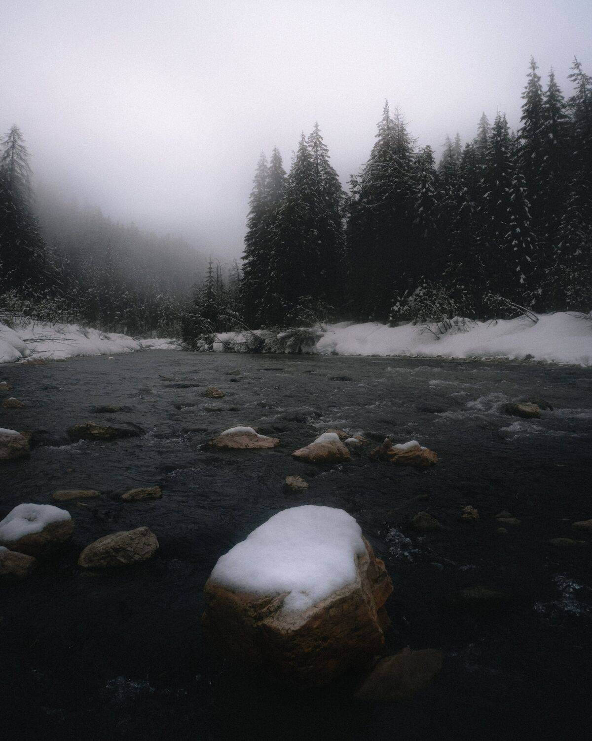Photo #5762030