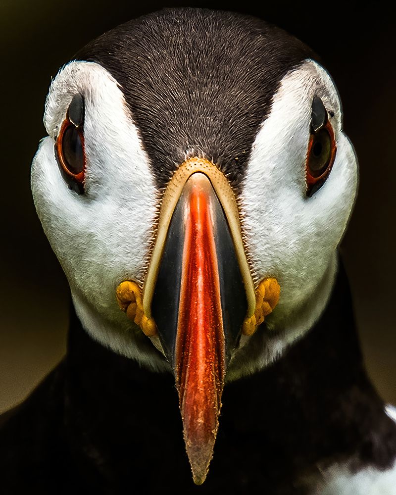 Photograph by Nora Young