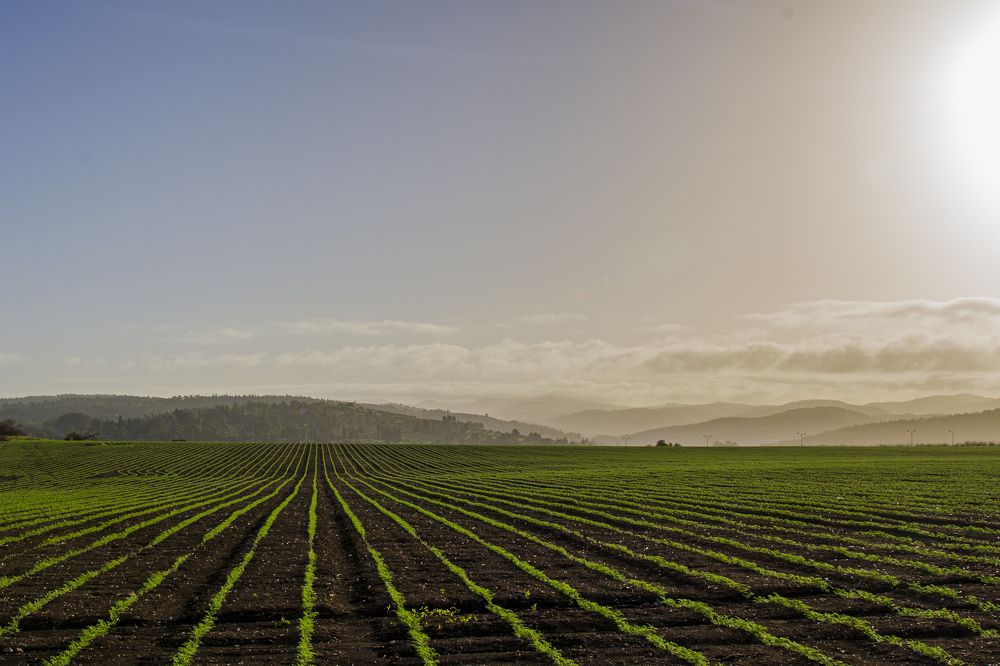 Photograph by Николай Литвак