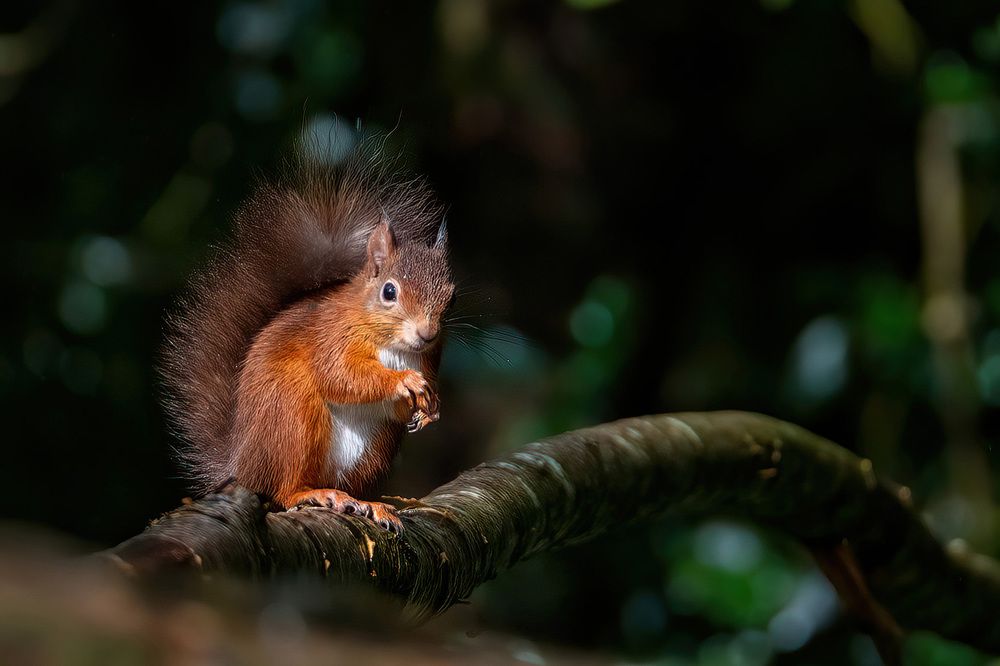 Photograph by Nora Young