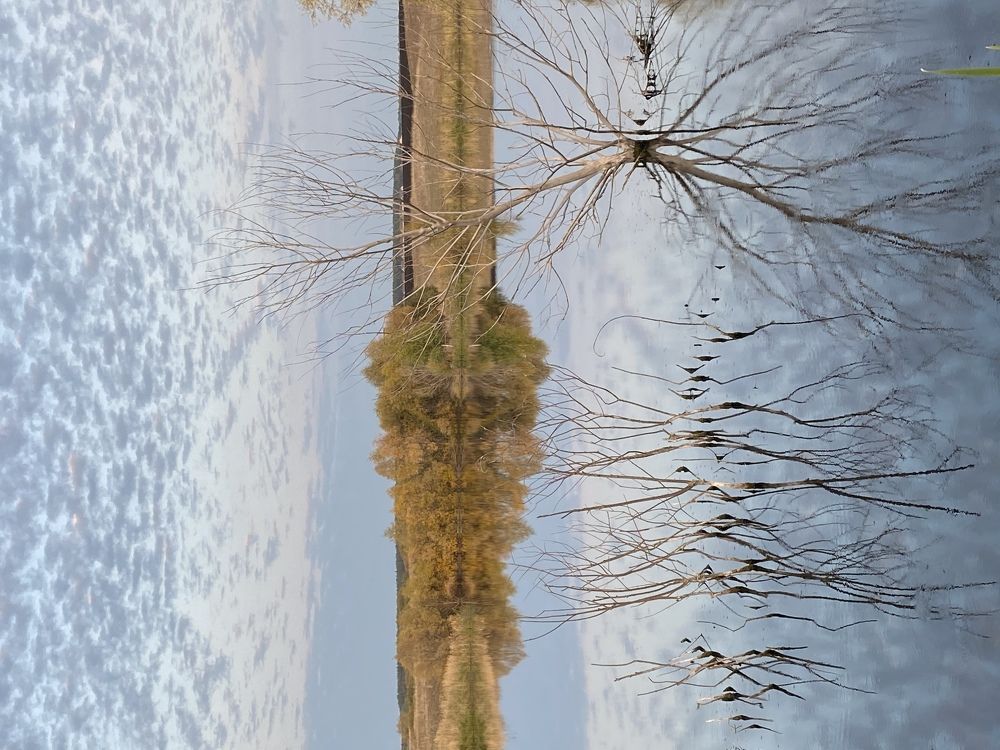 Photograph by Ksenya