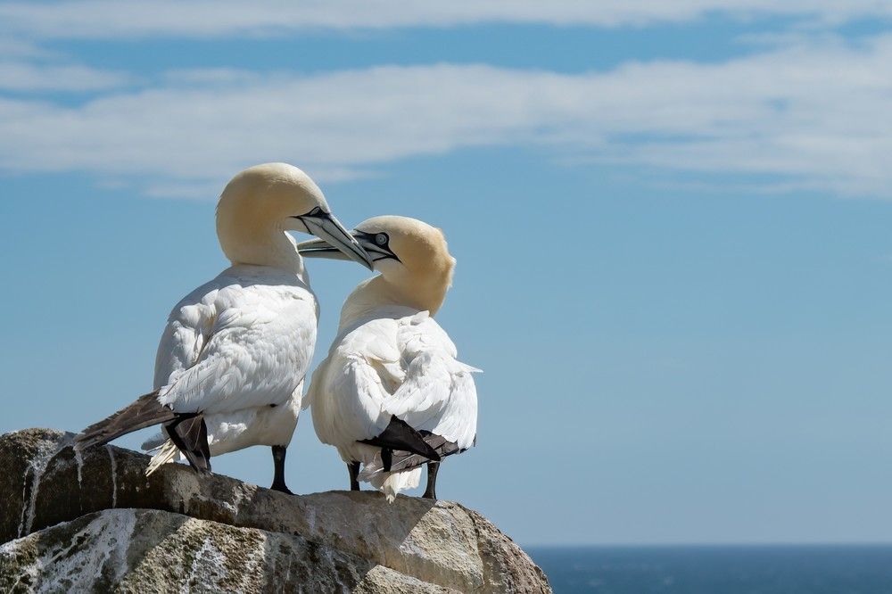 Photograph by Nora Young