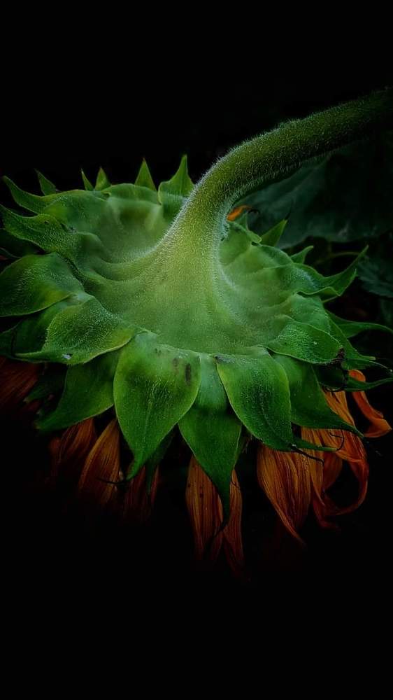 Photograph by Polina Svirida