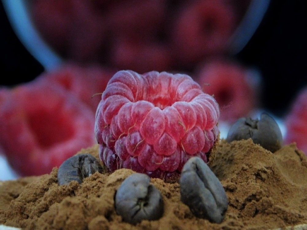 Photograph by Ana Bakic