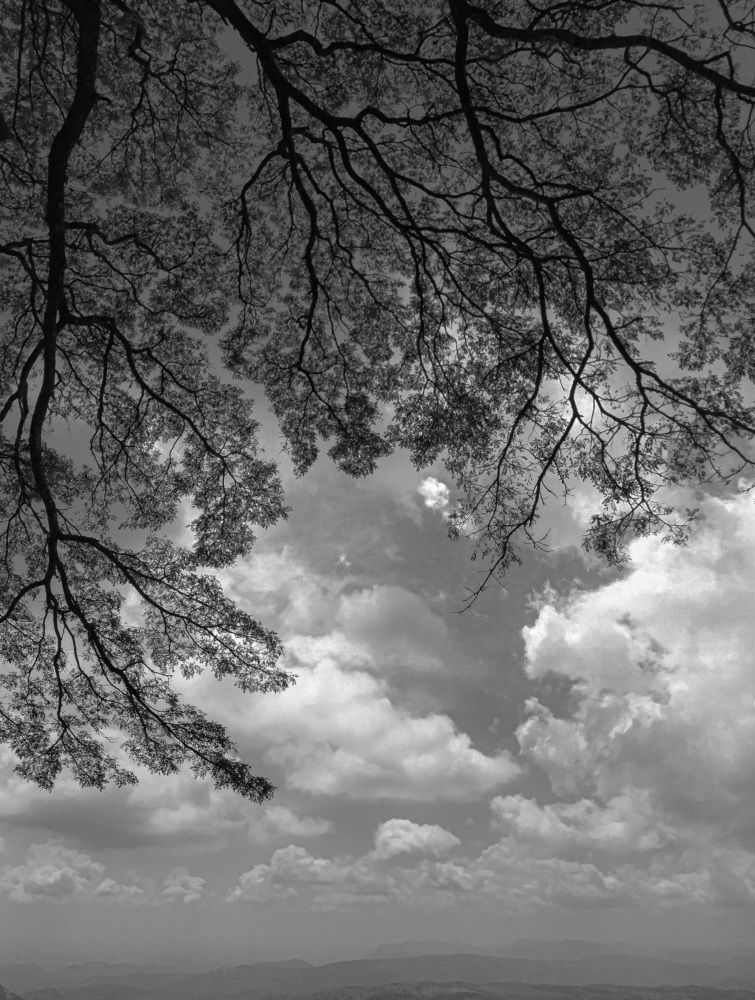 Photograph by avishka koralage