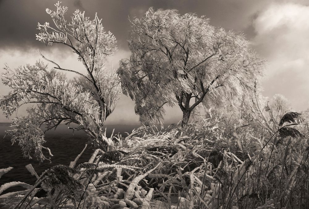 Зимний берег