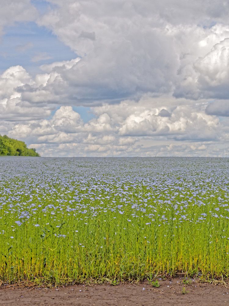 Там где небо встречается с землей