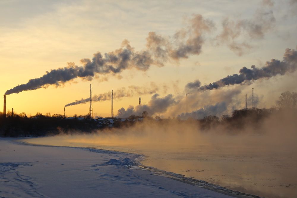 Фотография автора Елена Колосова